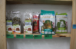 Galería de imágenes