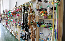 Galería de imágenes