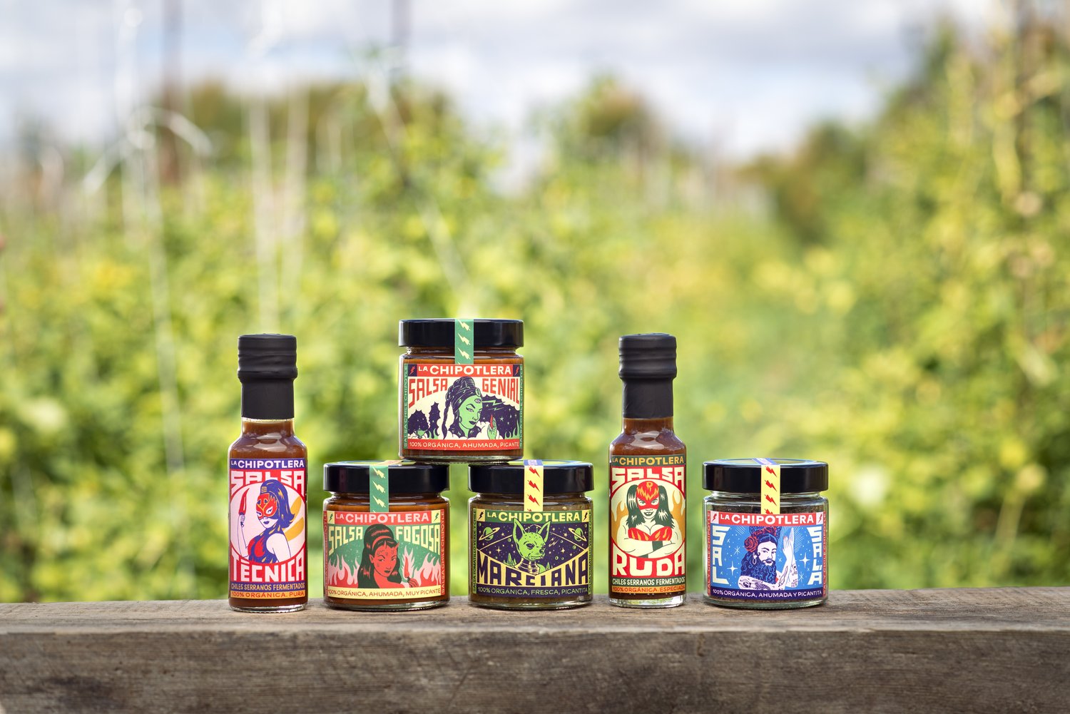 Galería de imágenes