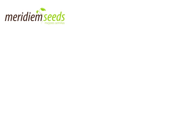 Meridiem Seeds