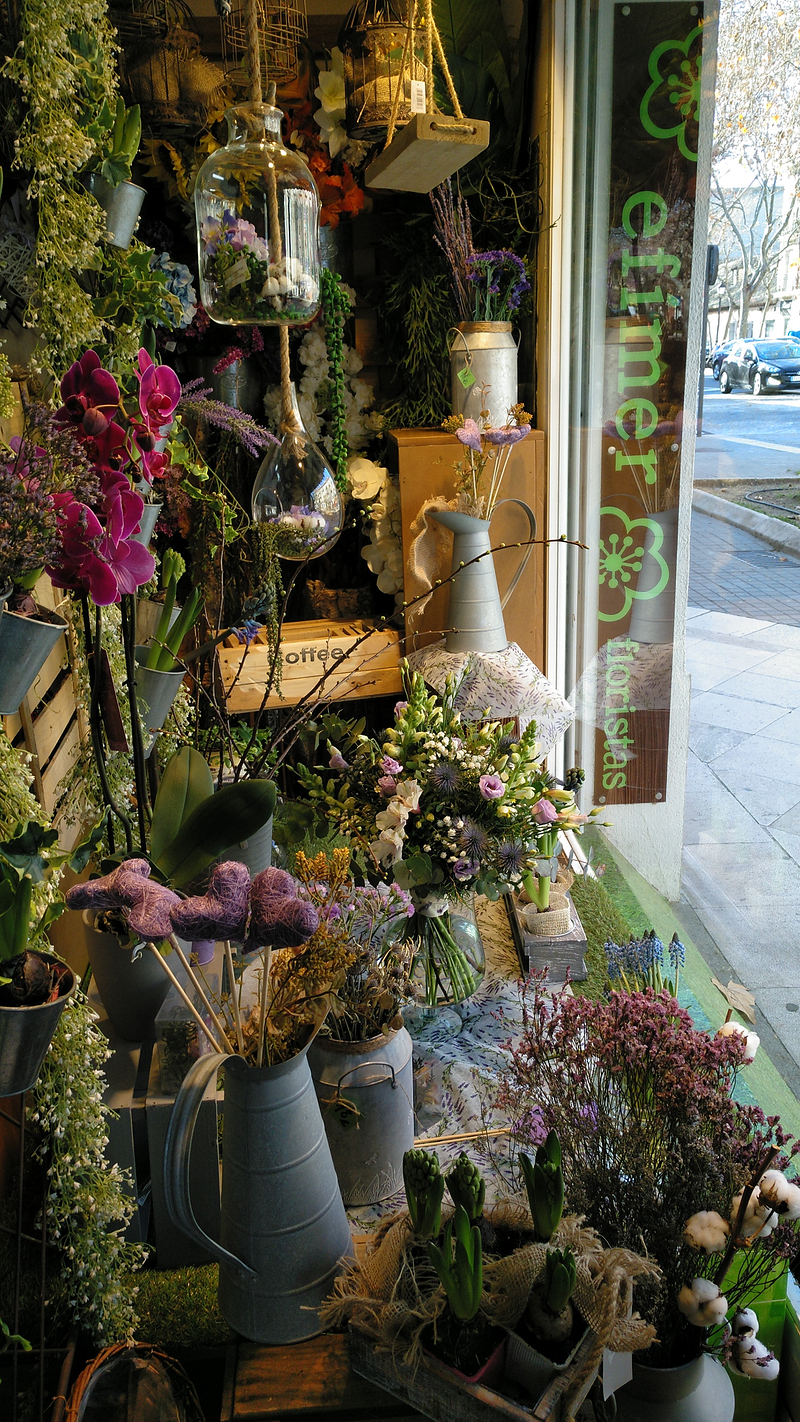 Ef&iacute;mer Floristas 6