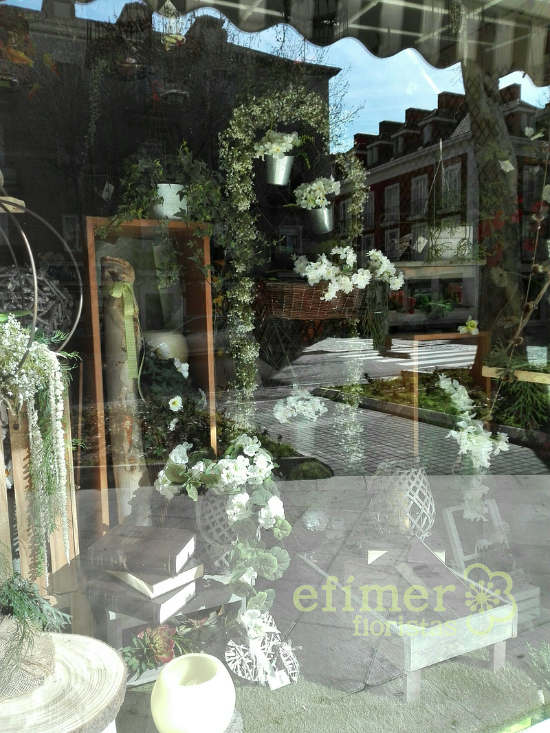 Ef&iacute;mer Floristas FLORISTERIAS