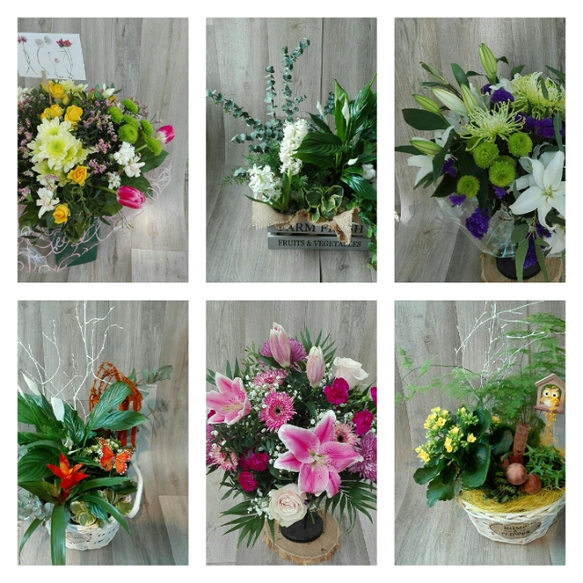 Ef&iacute;mer Floristas Aranjuez