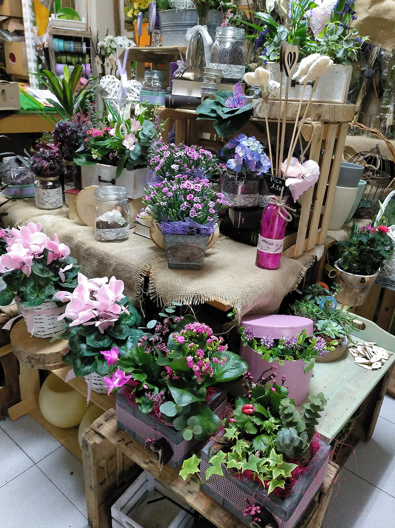 Ef&iacute;mer Floristas 4