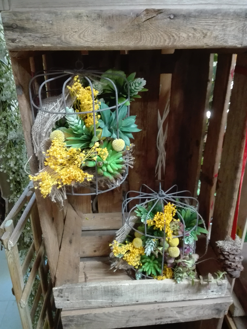 Ef&iacute;mer Floristas 5