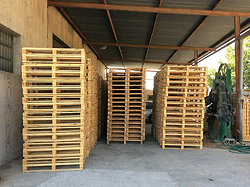 Galería de imágenes