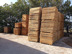 Galería de imágenes