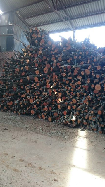 Secole&ntilde;as Soria