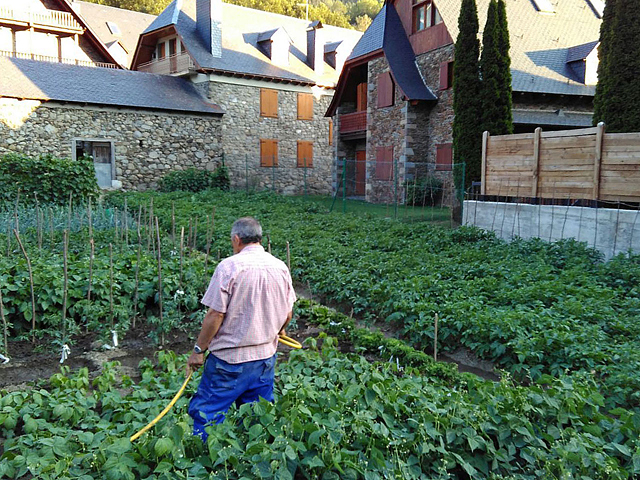 Mesón Casa Benito 2