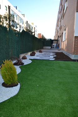 Galería de imágenes