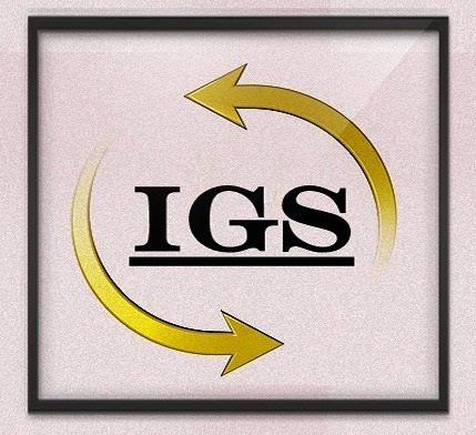 Info Gest Sur Gesti&oacute;n S.L. 12