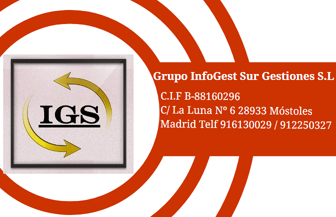 Info Gest Sur Gesti&oacute;n S.L. 7