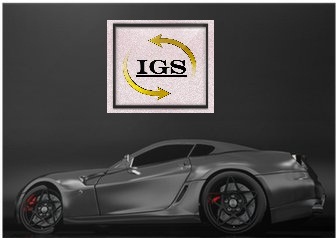 Info Gest Sur Gesti&oacute;n S.L. 6