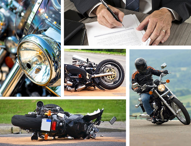 Info Gest Sur Gesti&oacute;n S.L. 5