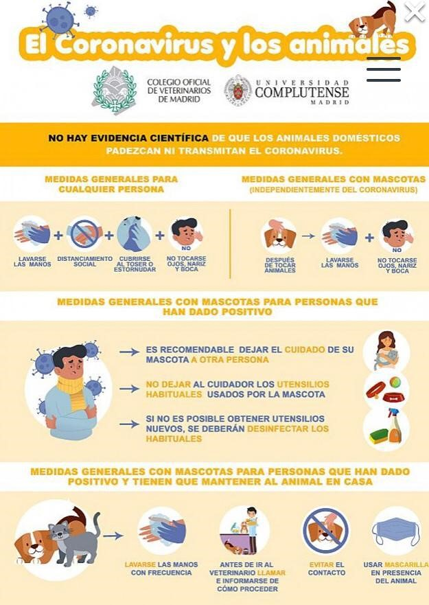 Vetfaunia Cl&iacute;nica Veterinaria Castell&oacute;n 8