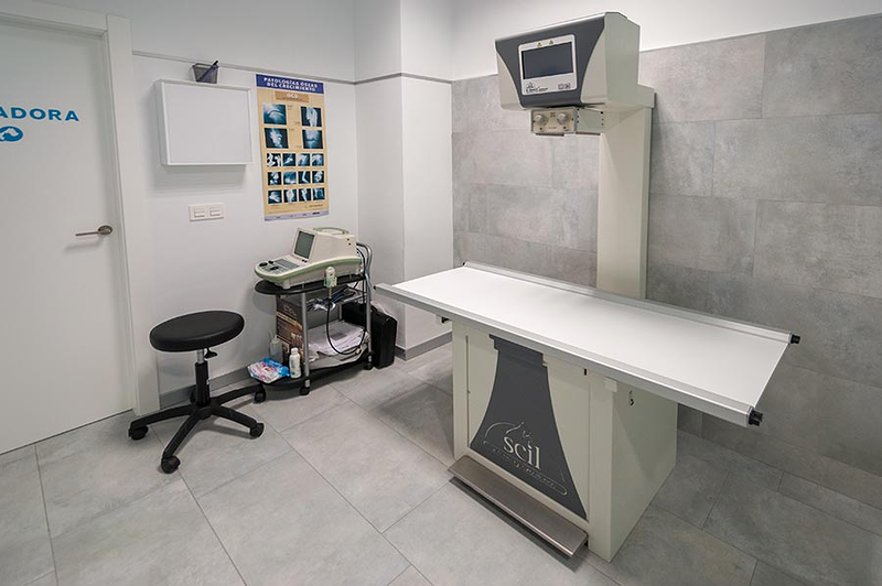 Vetfaunia Cl&iacute;nica Veterinaria Castell&oacute;n 5