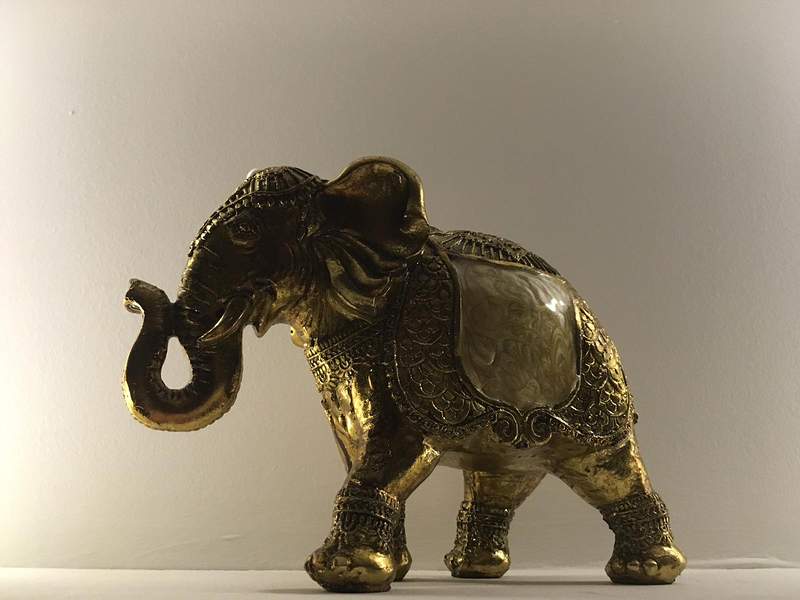 P.Tithima. Solucion S.L.U. 3