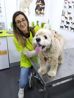 Gallarza Centro Veterinario 2 Gallarza Centro Veterinario 2