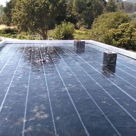 Galería de imágenes