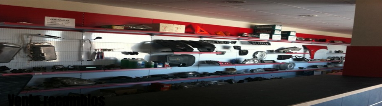 Galería de imágenes