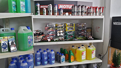 Galería de imágenes