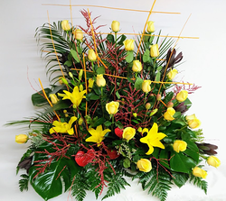 Lufesa Floristas 2 Lufesa Floristas 2