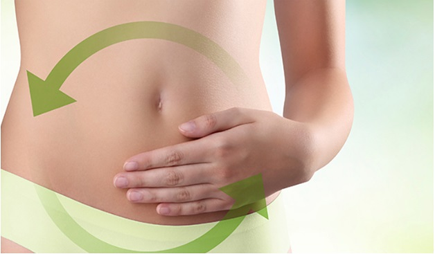 Nutribel DIETETICA Y NUTRICION