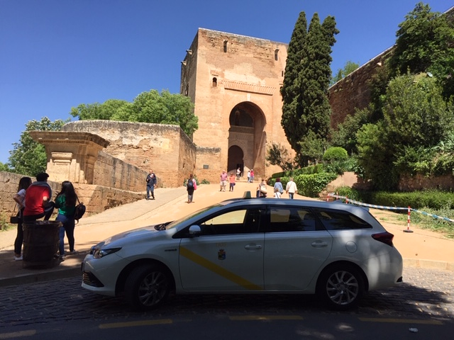 Taxi La Zubia Antonio 16