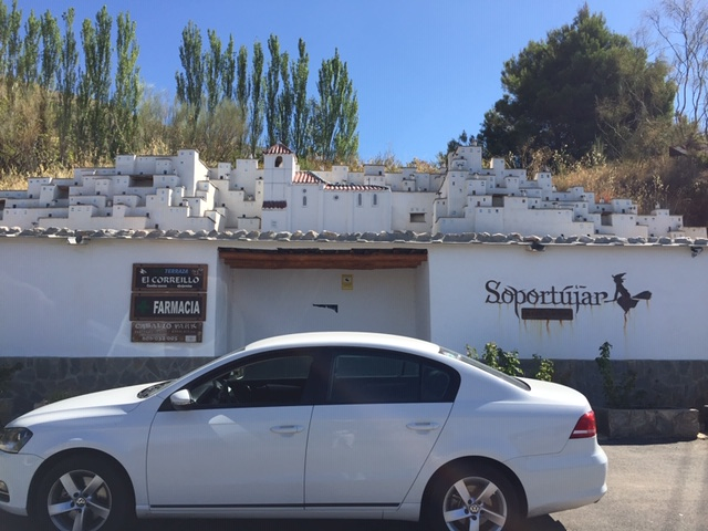 Taxi La Zubia Antonio 8