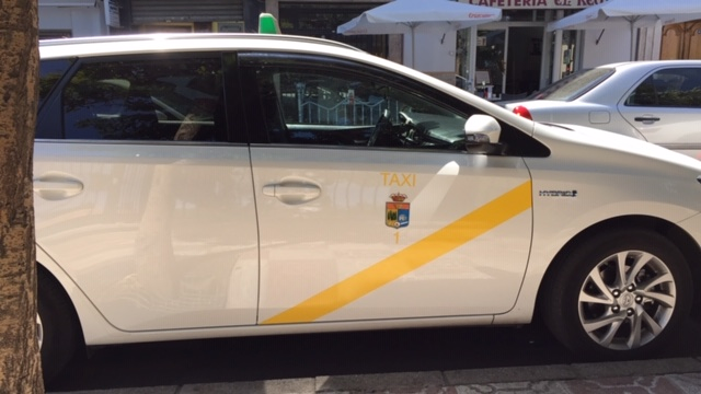 Taxi La Zubia Antonio 17
