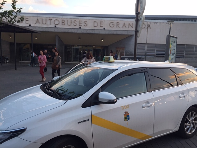 Taxi La Zubia Antonio 15