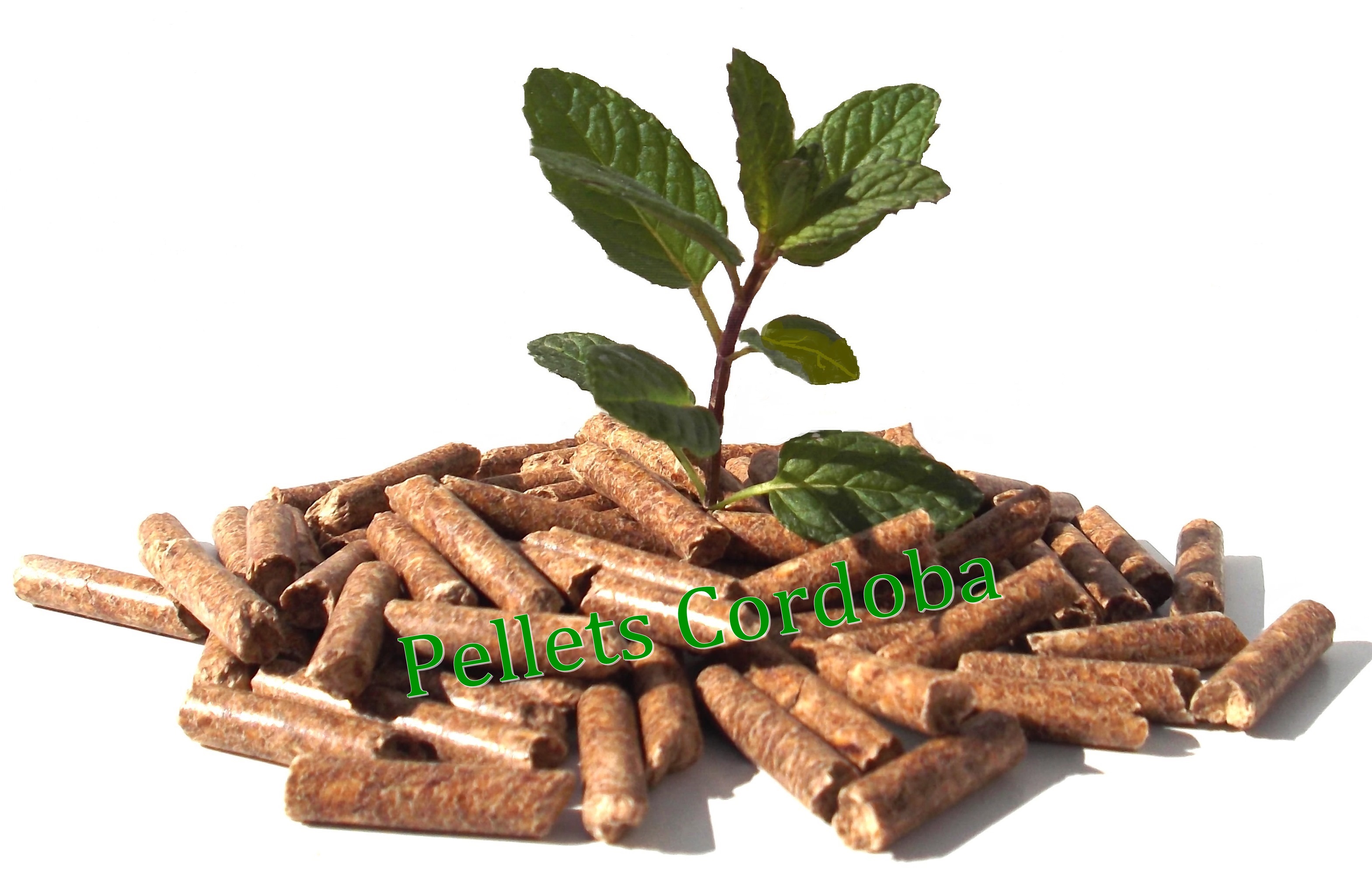 Pellets Córdoba