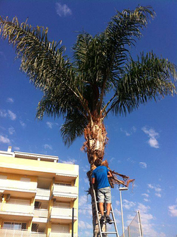 Galería de imágenes