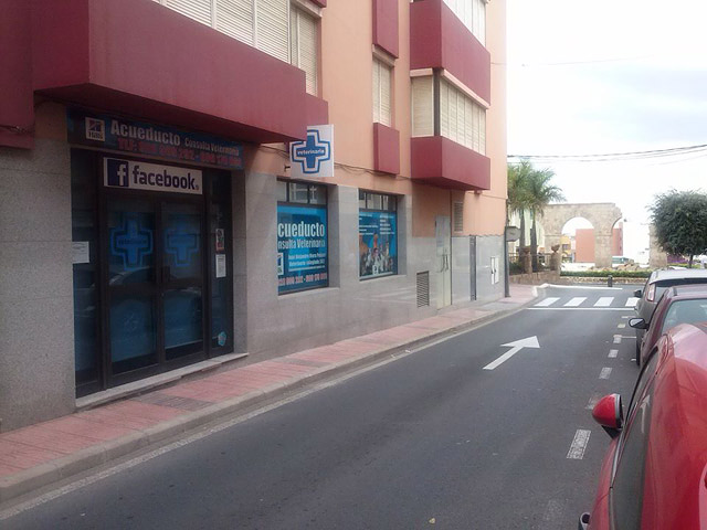 Consulta Veterinaria Acueducto 6