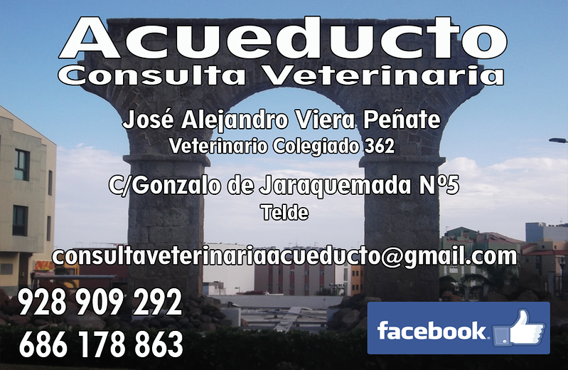 Consulta Veterinaria Acueducto CLINICAS VETERINARIAS