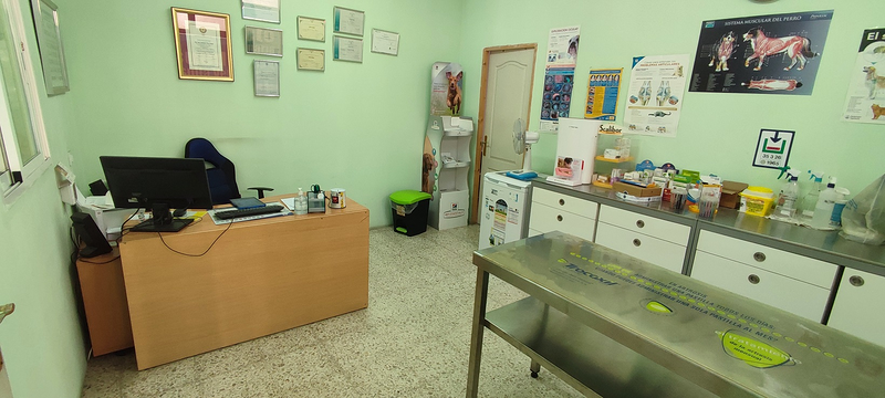 Consulta Veterinaria Acueducto 4