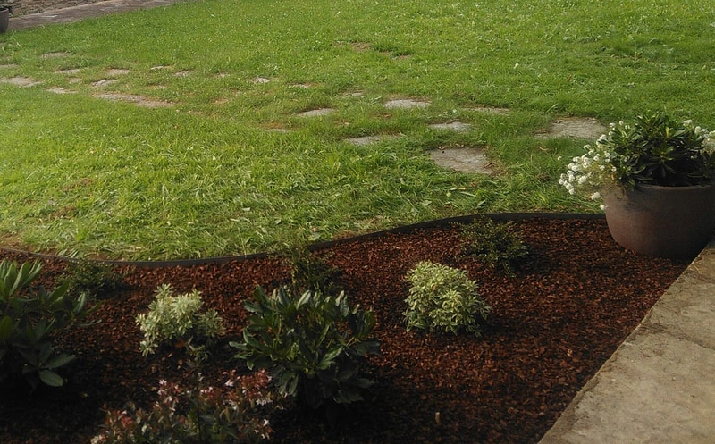 Cercis Jardiner&iacute;a 7