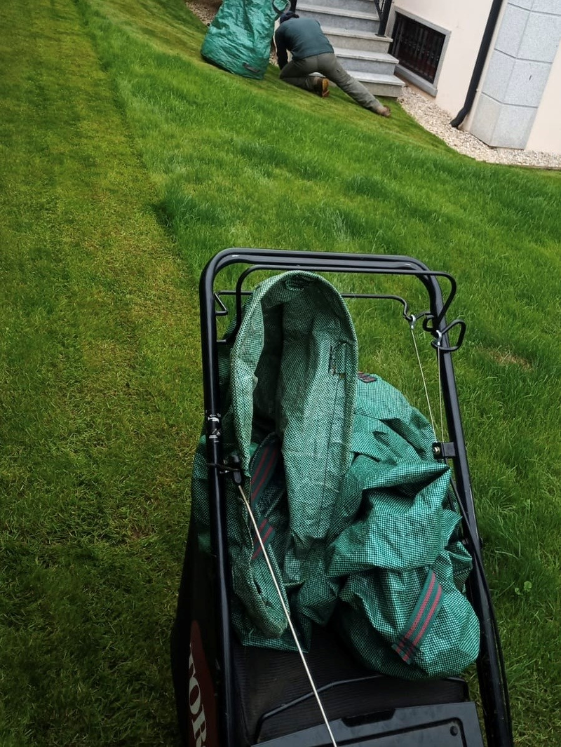 Cercis Jardiner&iacute;a 11