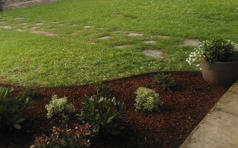 Cercis Jardiner&iacute;a 9