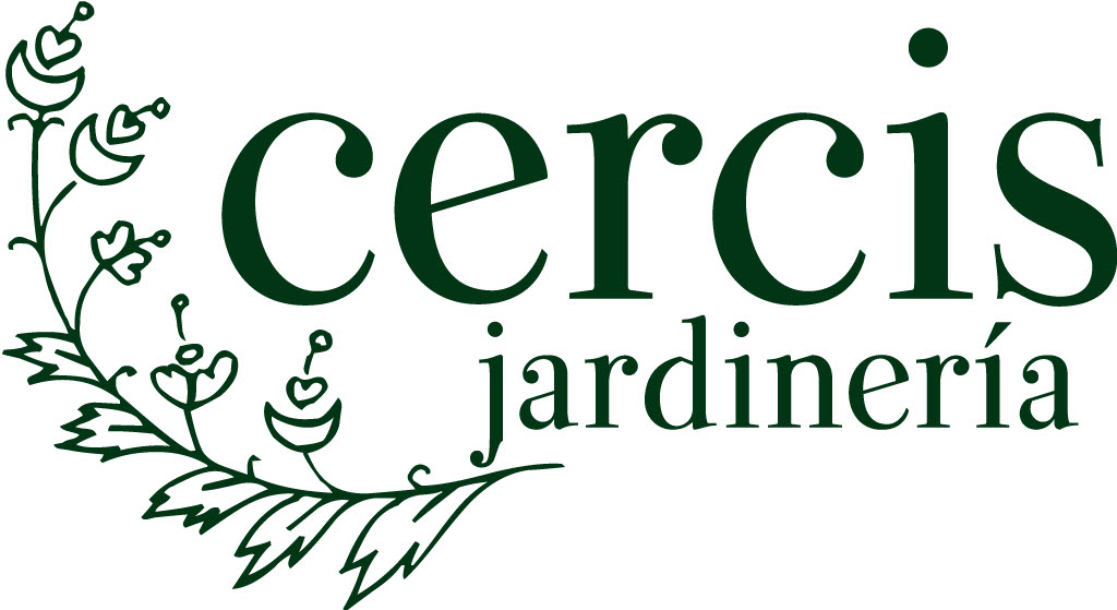 Cercis Jardinería