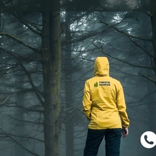 Imagen de FORESTAL HOSINTRA, SLU