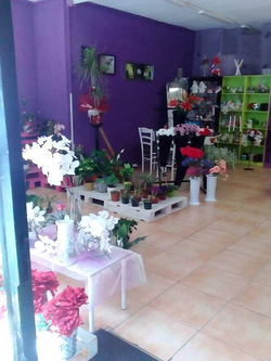 Galería de imágenes