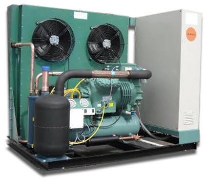 Neorefrigeraci&oacute;n 5