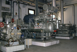 Galería de imágenes