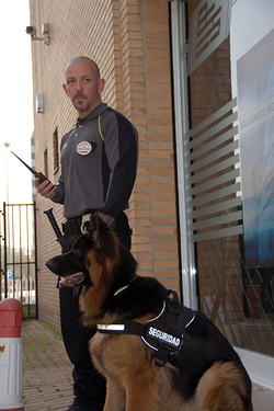 BSS Security & Systems 2 BSS Security & Systems 2