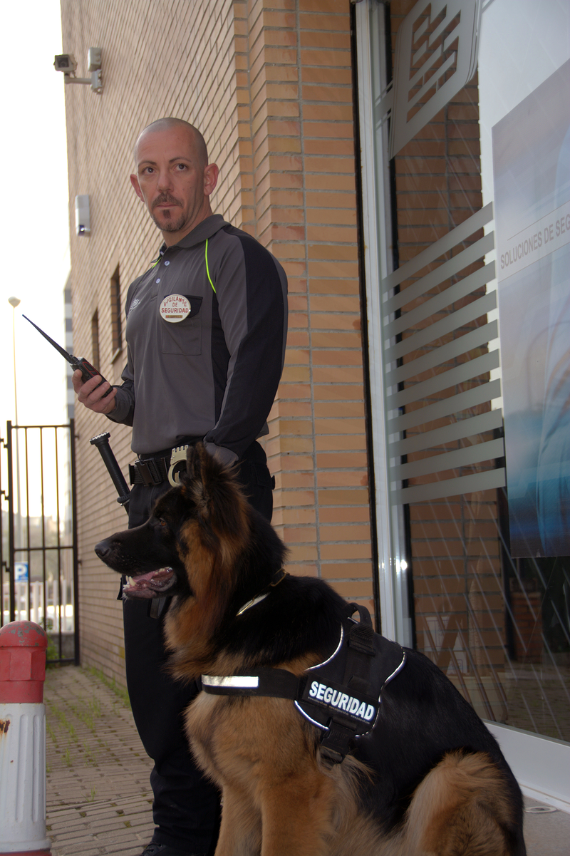 BSS Security & Systems 2