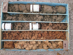 Galería de imágenes