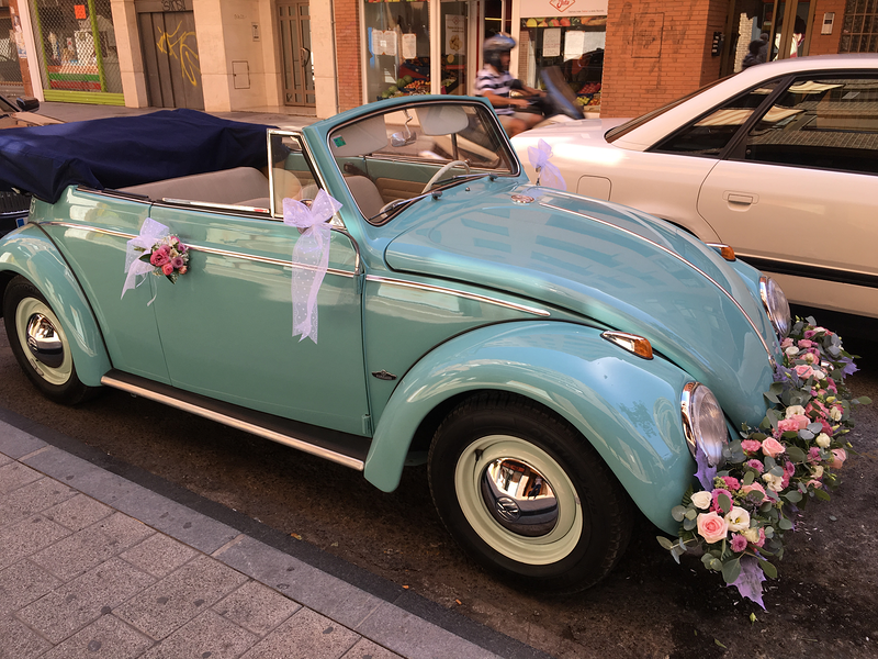 Valentin Cort&eacute;s Floristas 2