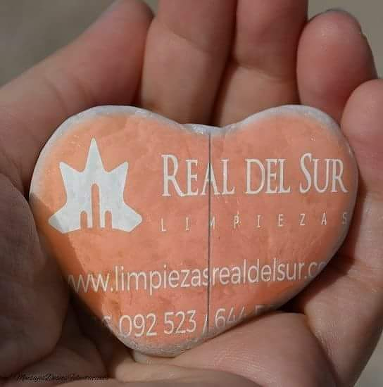 Limpiezas Real del Sur 4