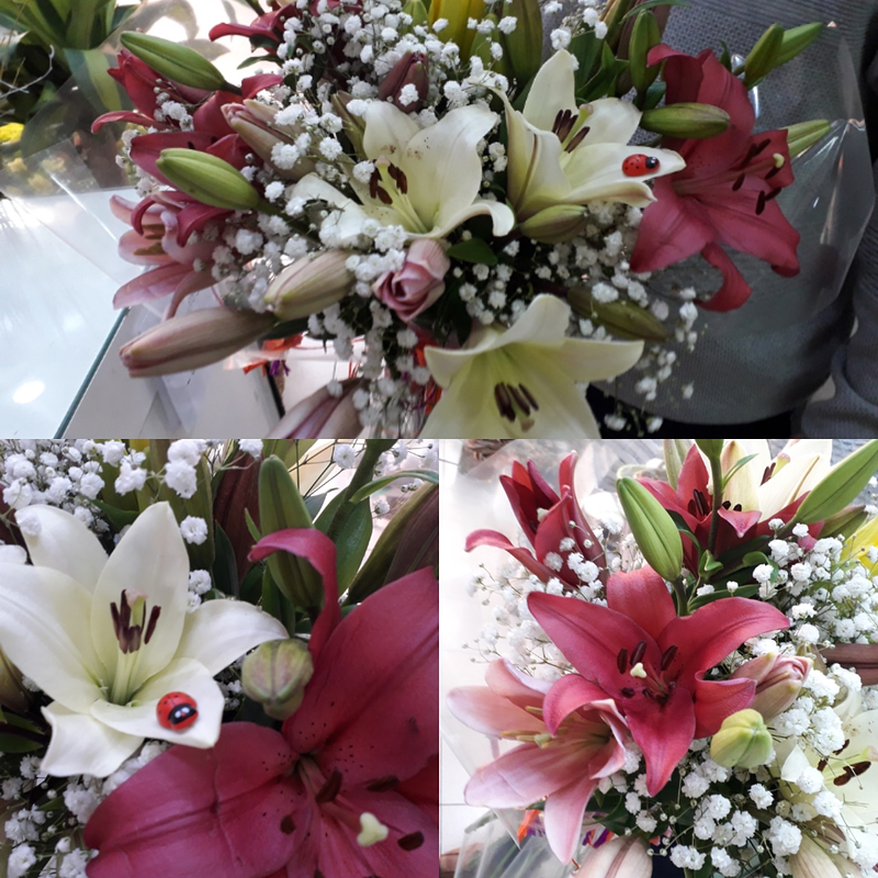 Florister&iacute;a San Gin&eacute;s 7